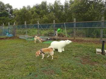 DSCN5434
