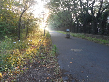 DSCN5175