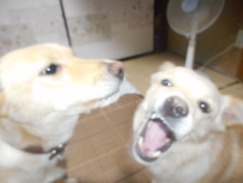 DSCN5203