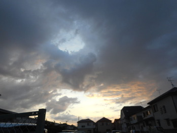 DSCN5494