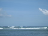 IMG_2889[1]