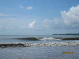 IMG_2691[1]