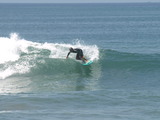 PB021239