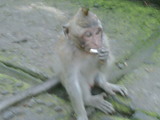IMG00200-20100307-1243