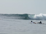P3066183