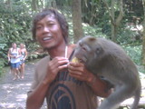 IMG00197-20100307-1239