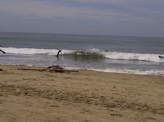 IMG-20120113-00762