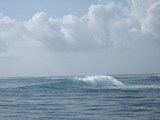 IMG_2857[1]