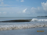 IMG_2692[1]