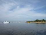 P3066155