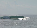 P4231050