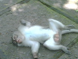 IMG00199-20100307-1242
