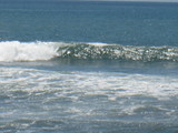 IMG_1102[1]