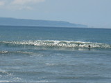 IMG_1100[1]