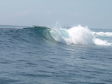 PA070388