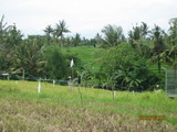 IMG_2751[1]