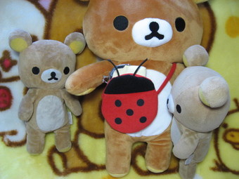 ¤µ¤¹¤¬¤ËÆþ¤ê¤Þ¤»¤ó¡Ä5