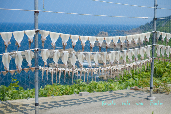XT2F8997-3