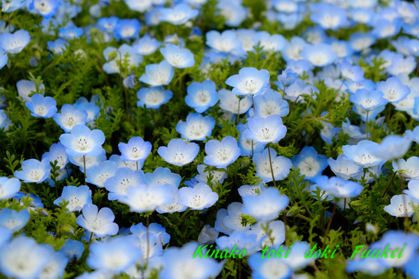 DSCF0123