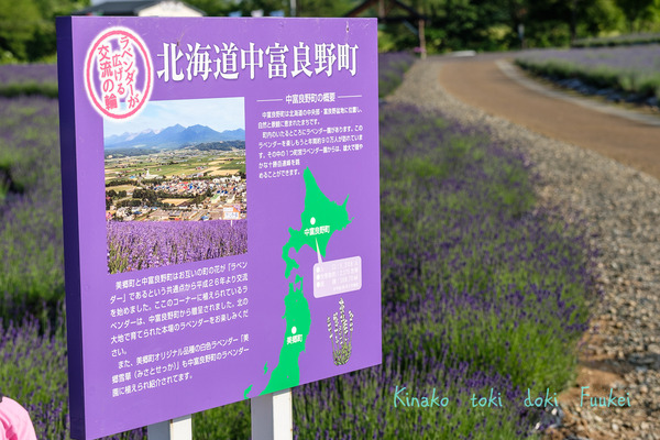 XT2F8593