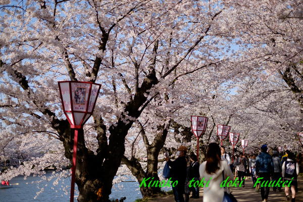 DSCF0455