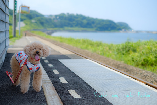 XT2F9032-5