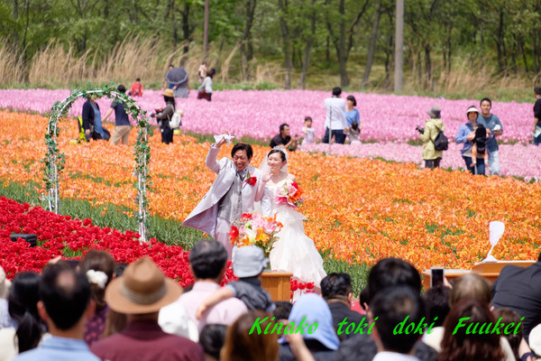 DSCF0178