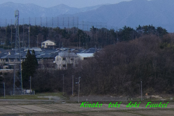 D71_2463