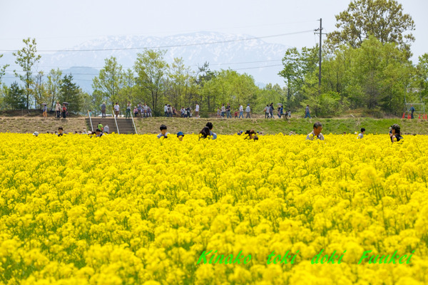 DSCF0110
