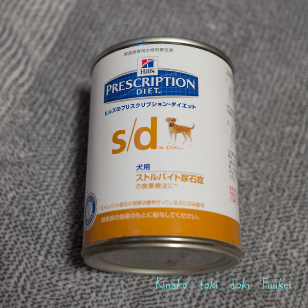 DSCF5390