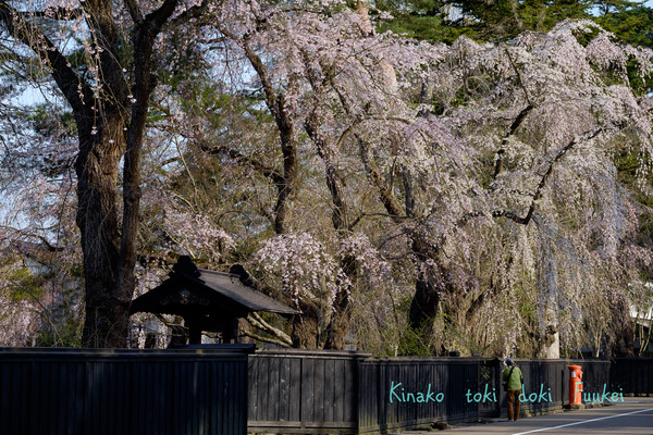 XT1F2390