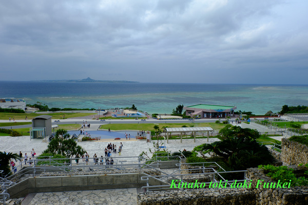 DSCF3027