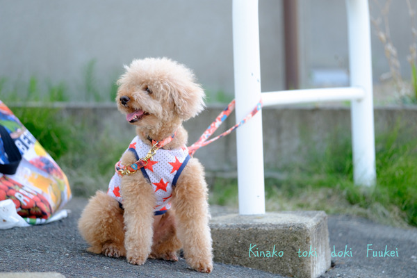 DSCF0438