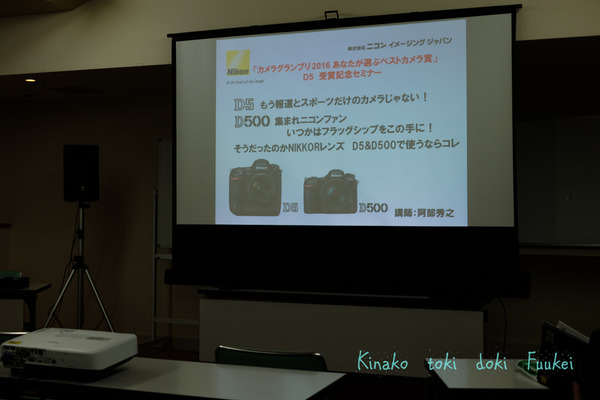 DSCF5248