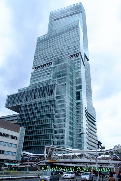FUJI7055