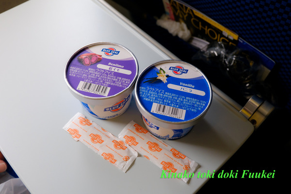 DSCF3124