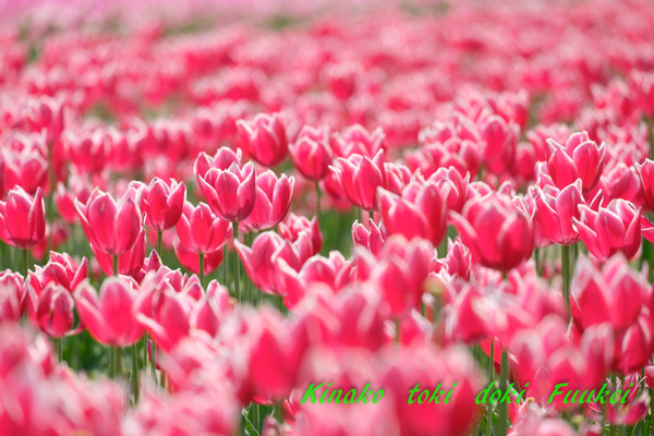 DSCF0118