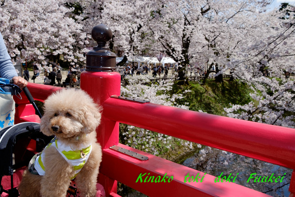 DSCF0321