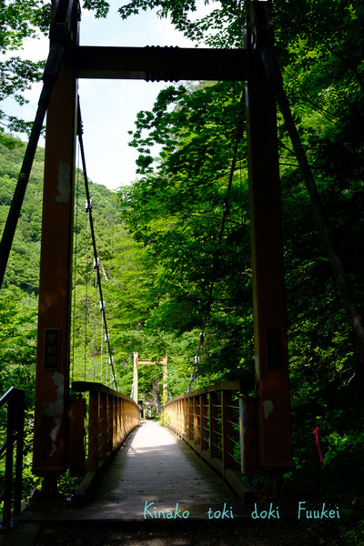 XT2F8280