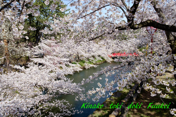 DSCF0397