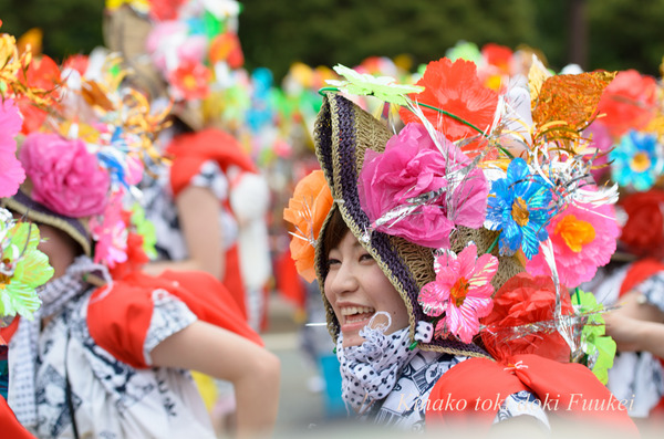 D7K_3369