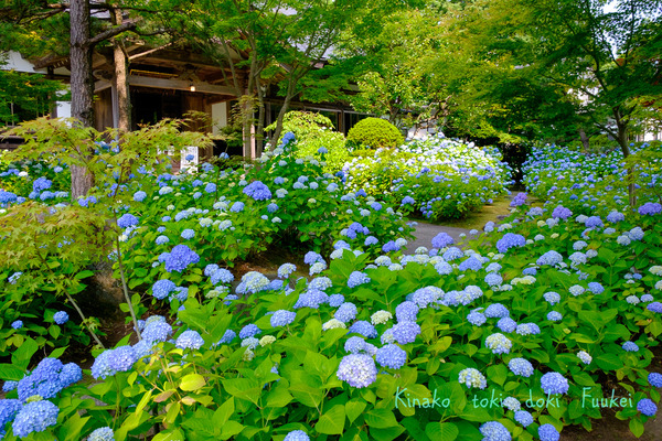 XT1F3029-1