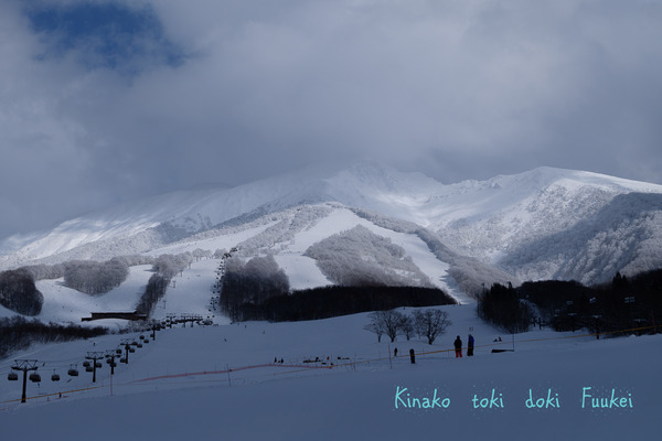 DSCF6054