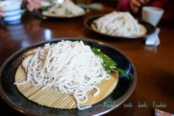 DSCF5604