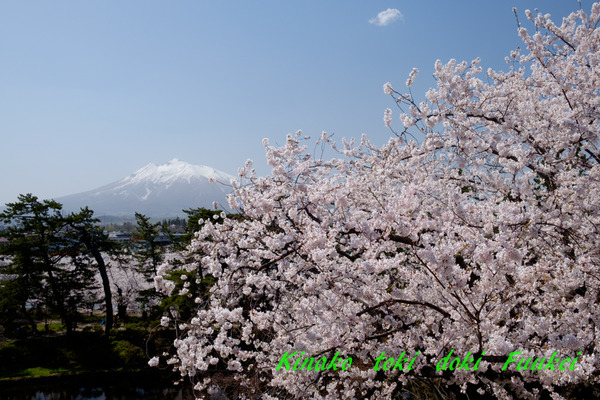 DSCF0390