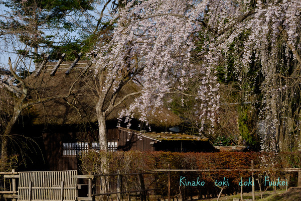 XT1F2385