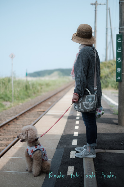 XT2F9052-6