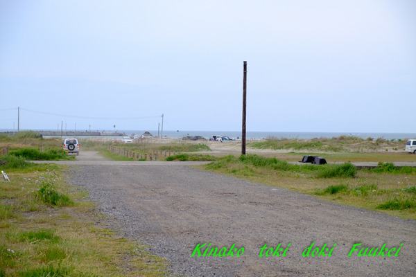 DSCF0243