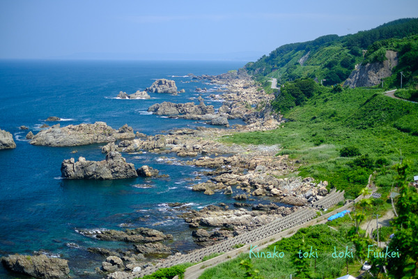 XT2F8993-2