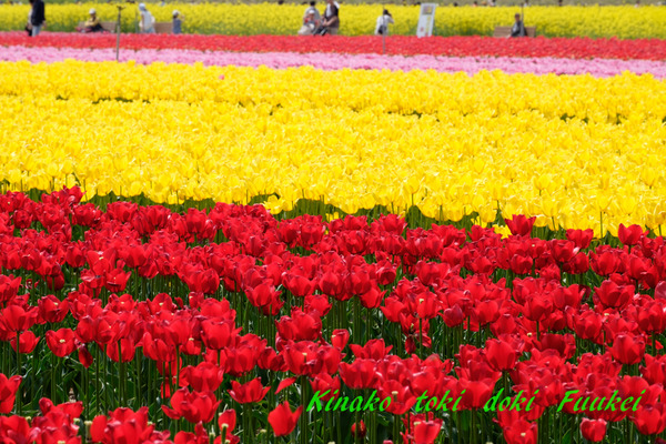 DSCF0079